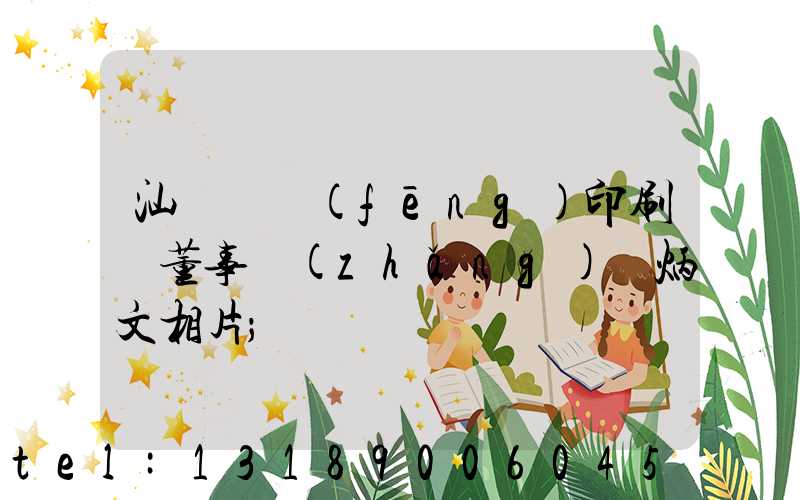 汕頭東風(fēng)印刷廠董事長(zhǎng)黃炳文相片