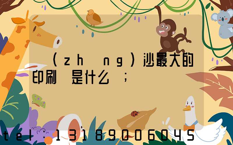 長(zhǎng)沙最大的印刷廠是什么廠